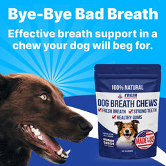 Pup Labs Fresh Breathies dog chew close-up showing texture and natural ingredients for fresher breath.