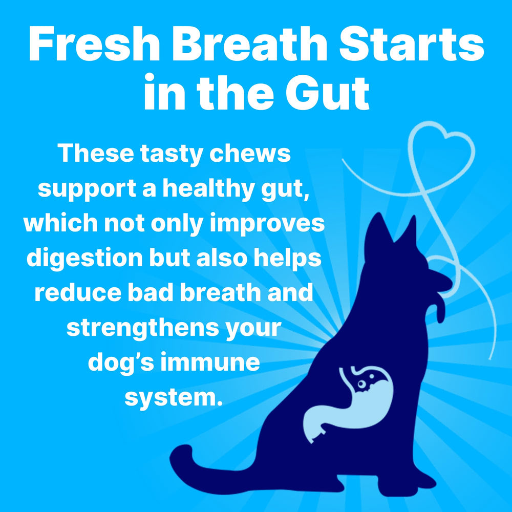 Pup Labs Fresh Breathies dog enjoying chew for fresher breath and clean teeth.
