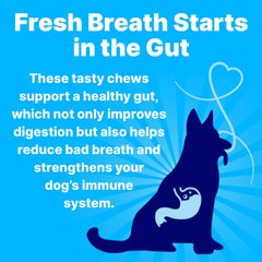 Pup Labs Fresh Breathies dog enjoying chew for fresher breath and clean teeth.