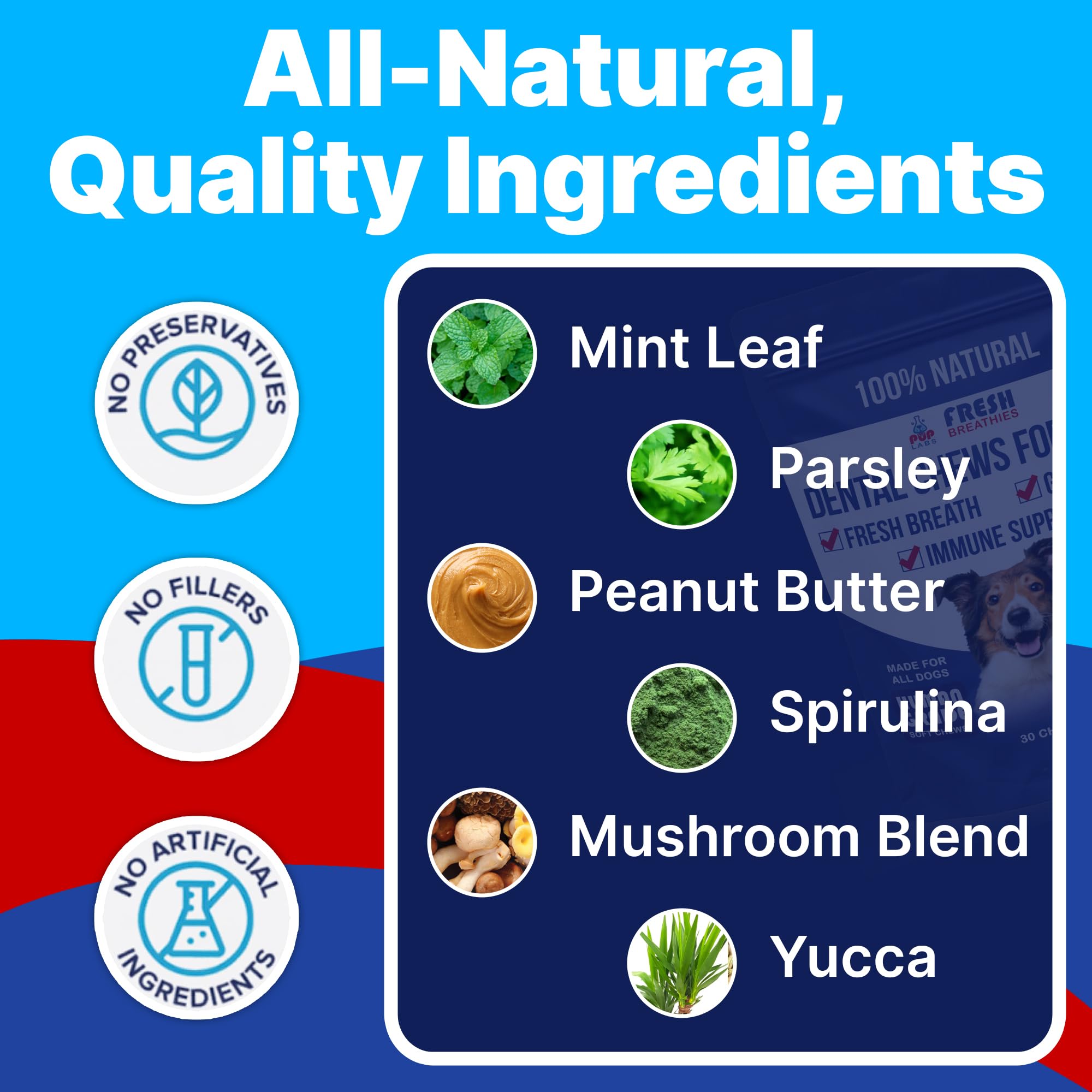 Pup Labs Fresh Breathies ingredients mint leaves close-up highlighting natural breath-freshening benefits.