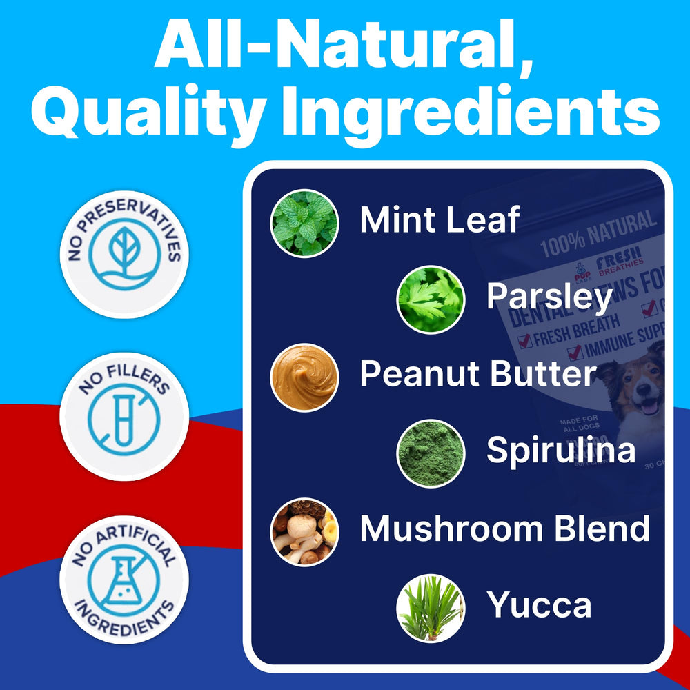 Pup Labs Fresh Breathies ingredients mint leaves close-up highlighting natural breath-freshening benefits.
