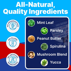 Pup Labs Fresh Breathies ingredients mint leaves close-up highlighting natural breath-freshening benefits.