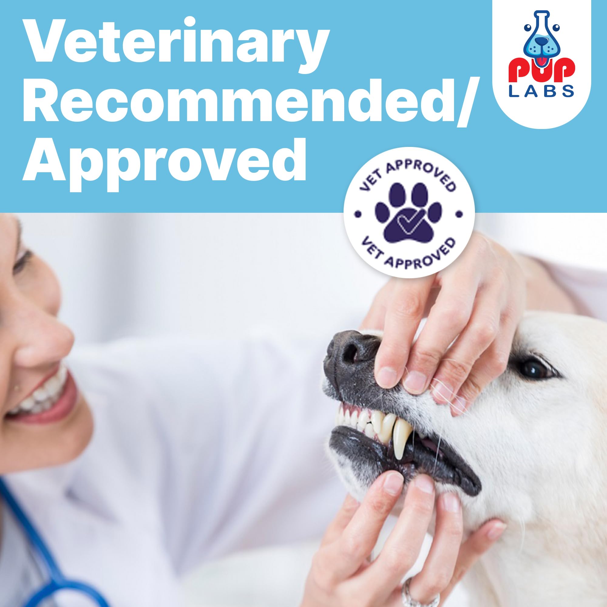 Pup Labs ProDenta 30 servings tub supports ongoing daily dental care