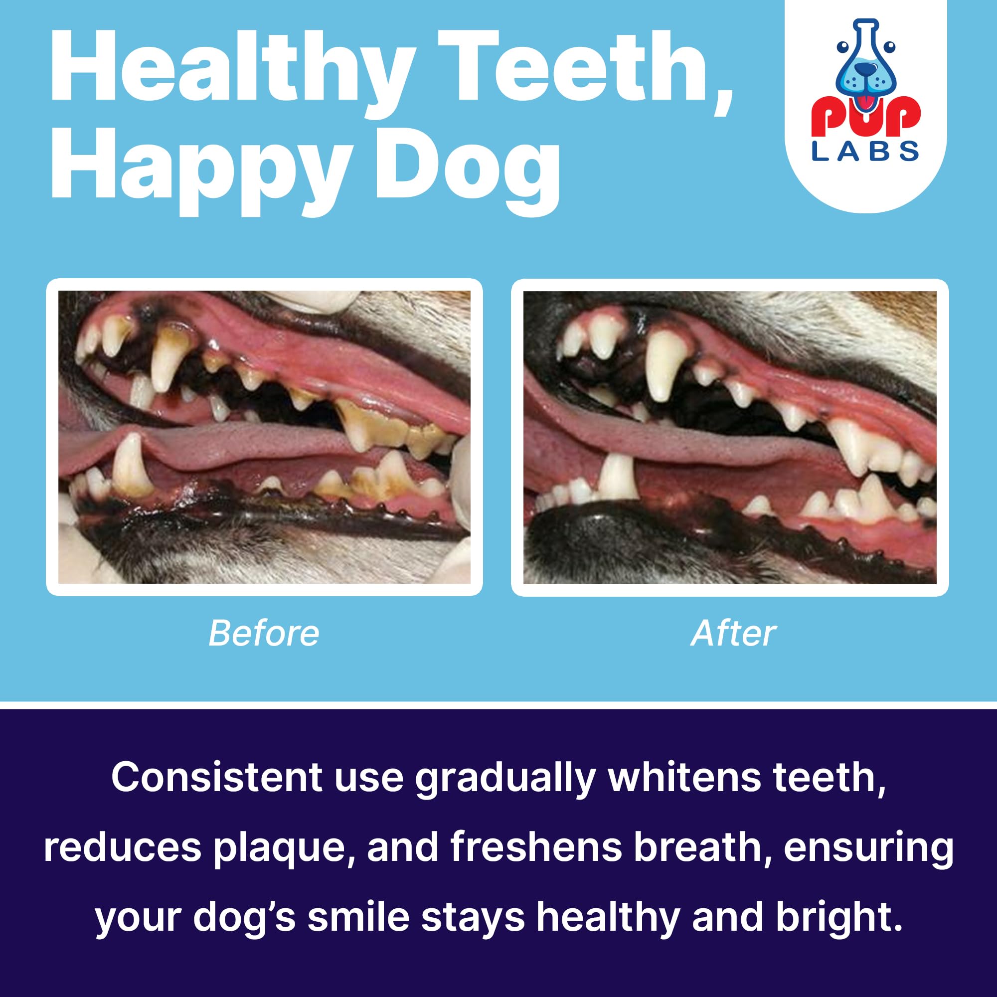 Pup Labs ProDenta oats base ensures smooth texture and even distribution