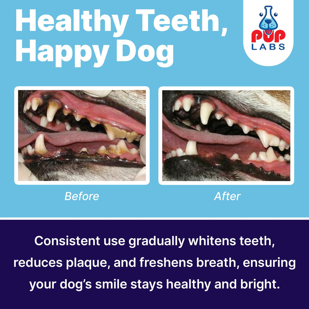 Pup Labs ProDenta oats base ensures smooth texture and even distribution