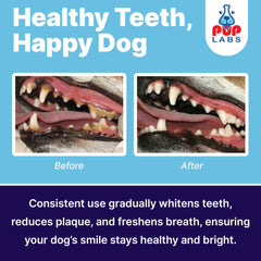 Pup Labs ProDenta oats base ensures smooth texture and even distribution