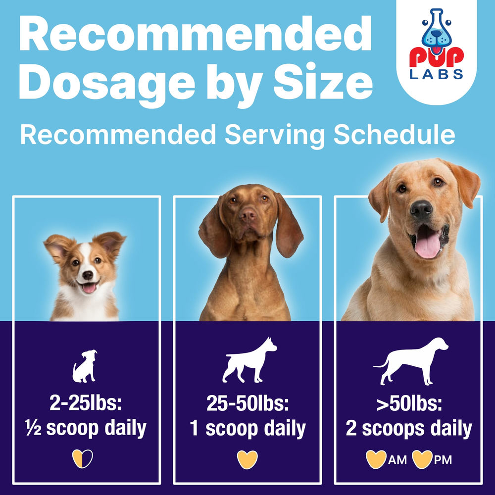Pup Labs ProDenta packaging signals USA-made quality and trusted pet care