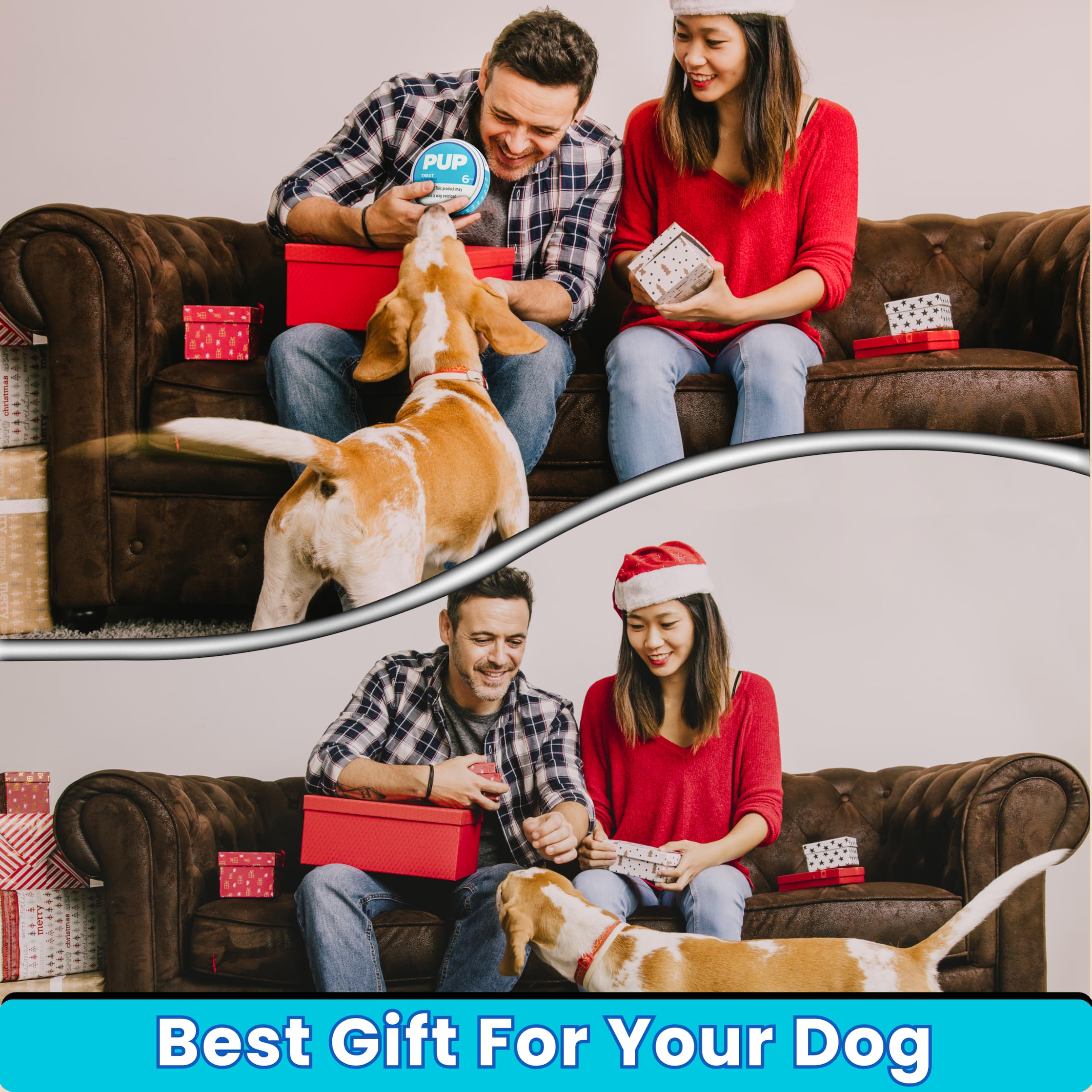 PUP6 crinkle-like novelty toy image suggesting a cheerful pet gift.