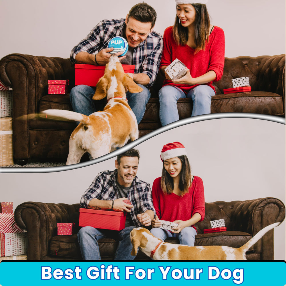 PUP6 crinkle-like novelty toy image suggesting a cheerful pet gift.