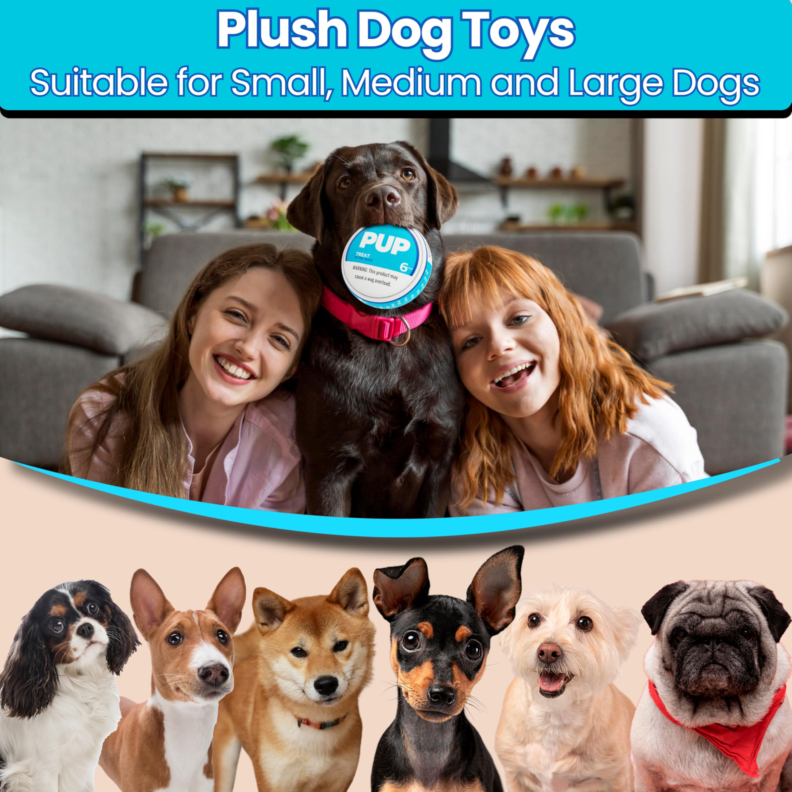 PUP6 puppy-approved design encouraging interactive play for all sizes.