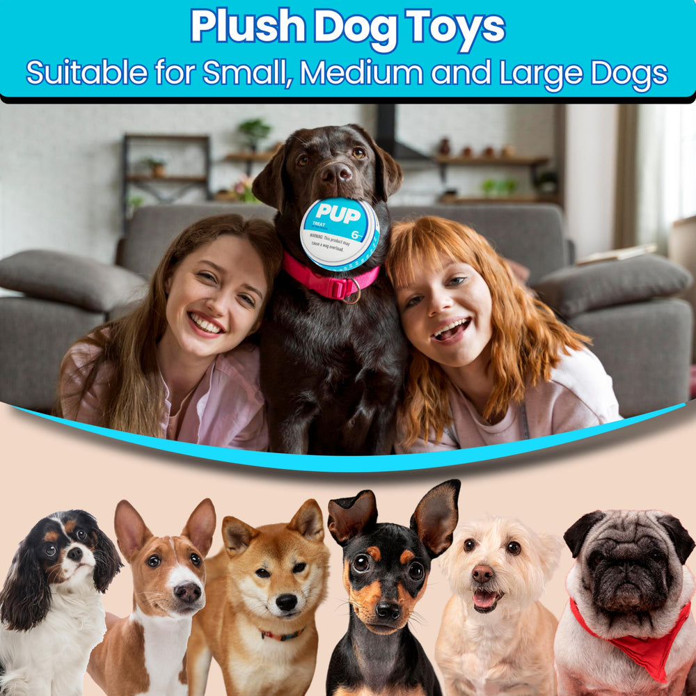 PUP6 puppy-approved design encouraging interactive play for all sizes.