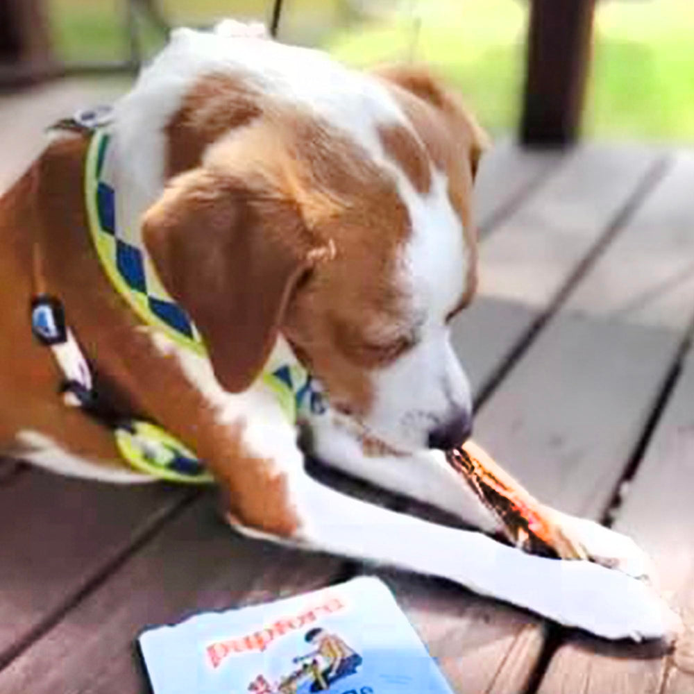 Pupford Beef Tendon Chews with glucosamine highlights joint health support potential.