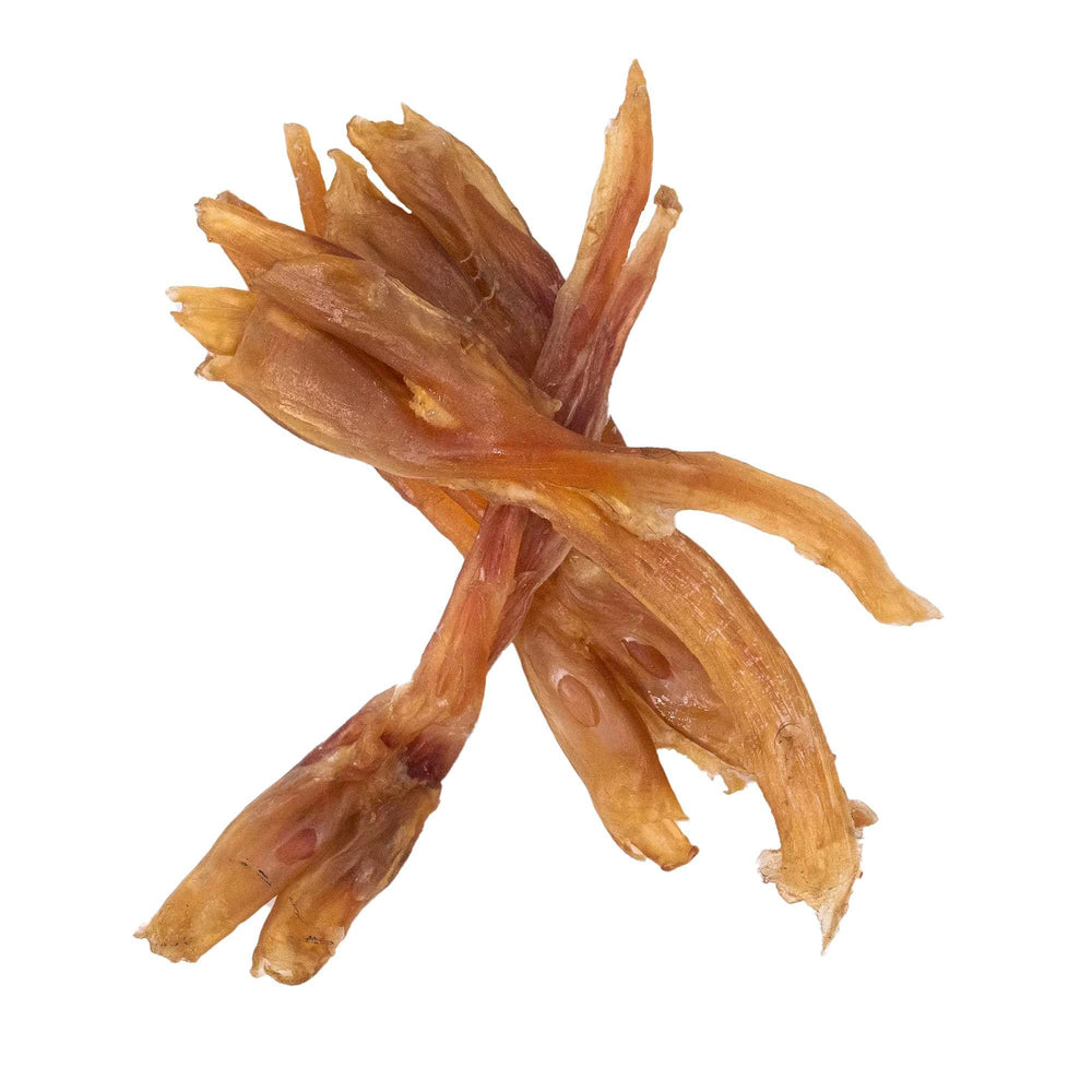 Pupford Beef Tendon Chews training reward scene shows happy dog after chew.