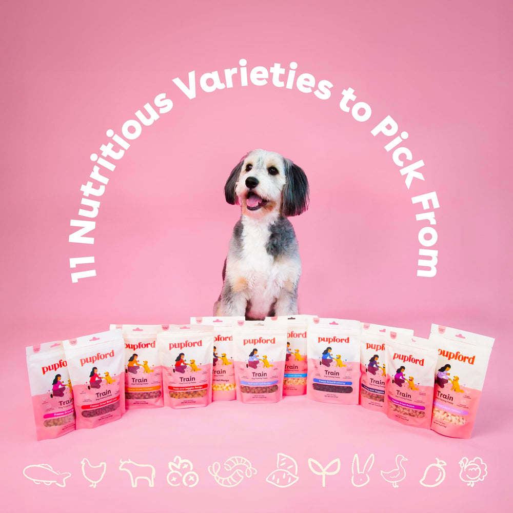 Pupford brand promise image communicates support for finding the right fit.