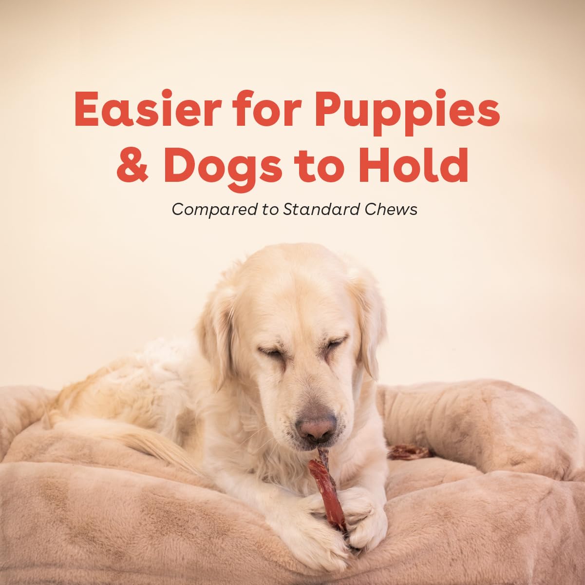 Pupford Bully Stick Rings product aiding dental health via chewing.