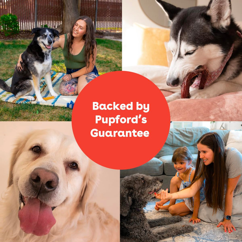 Pupford Bully Stick Rings long-lasting chew for dogs.