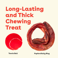 Pupford Bully Stick Rings in use by a puppy for teething relief.