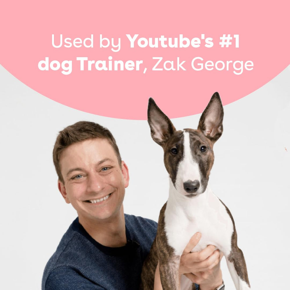 Pupford chicken aroma highlights appealing training reward