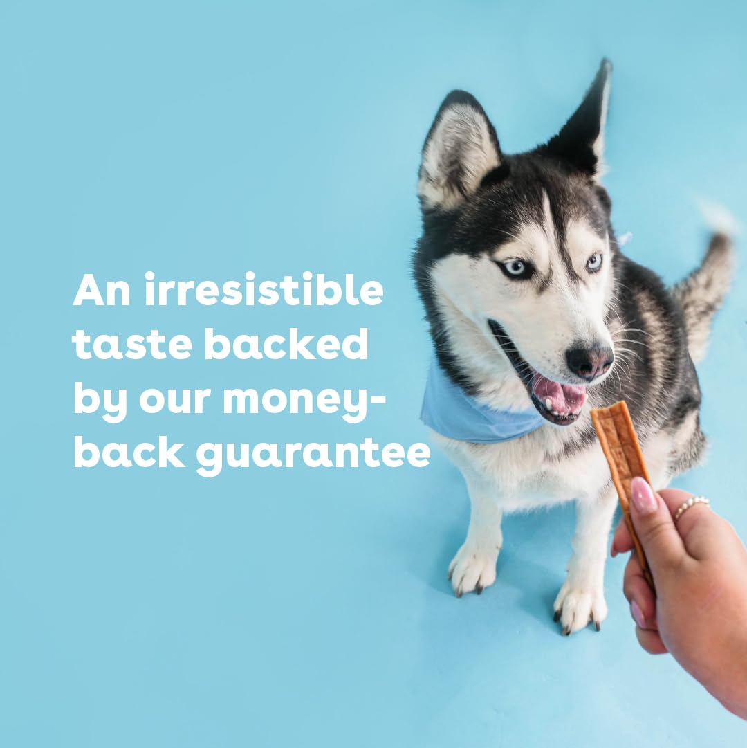 Pupford Chicken Jerky training-reward close-up shows ideal snack for training sessions.