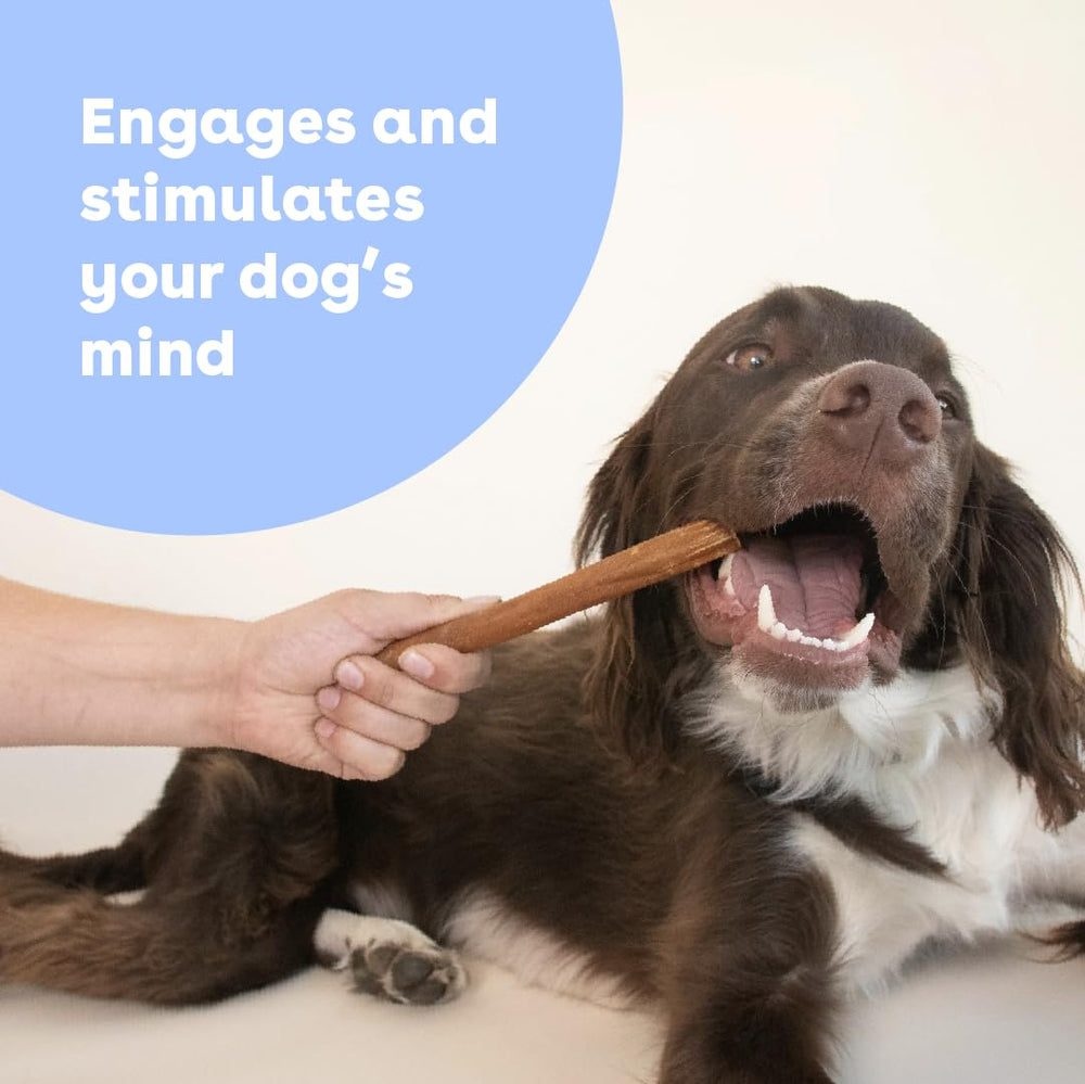 Pupford collagen stick chew demonstrates bully-stick alternative durability.