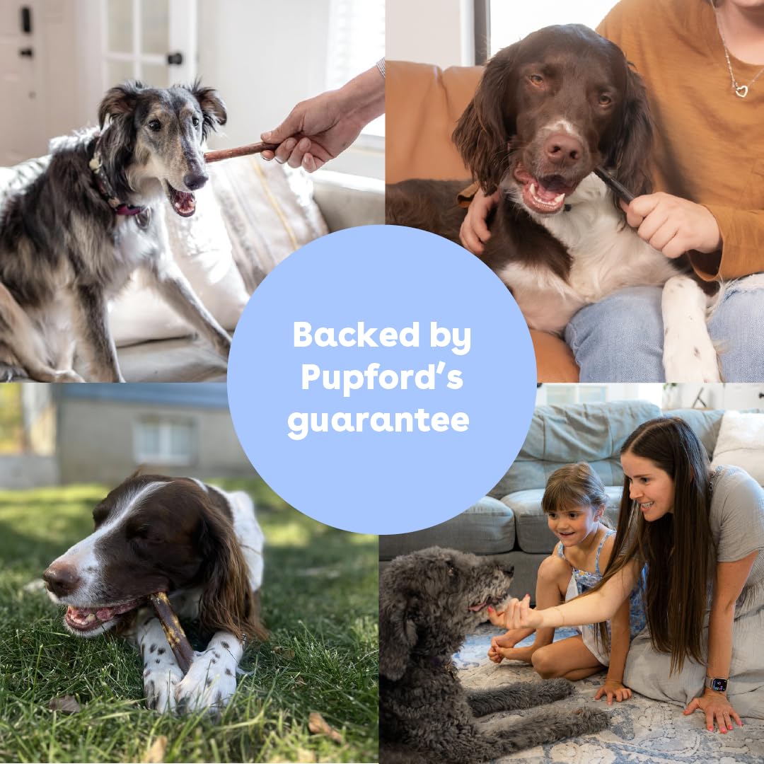 Pupford collagen stick chew shows color variation between chews.