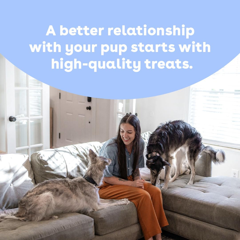 Pupford collagen stick chew pack illustrated for at-home treat sessions.