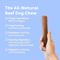 Pupford Collagen Stick Chews in puppy chew-session setup for teething.