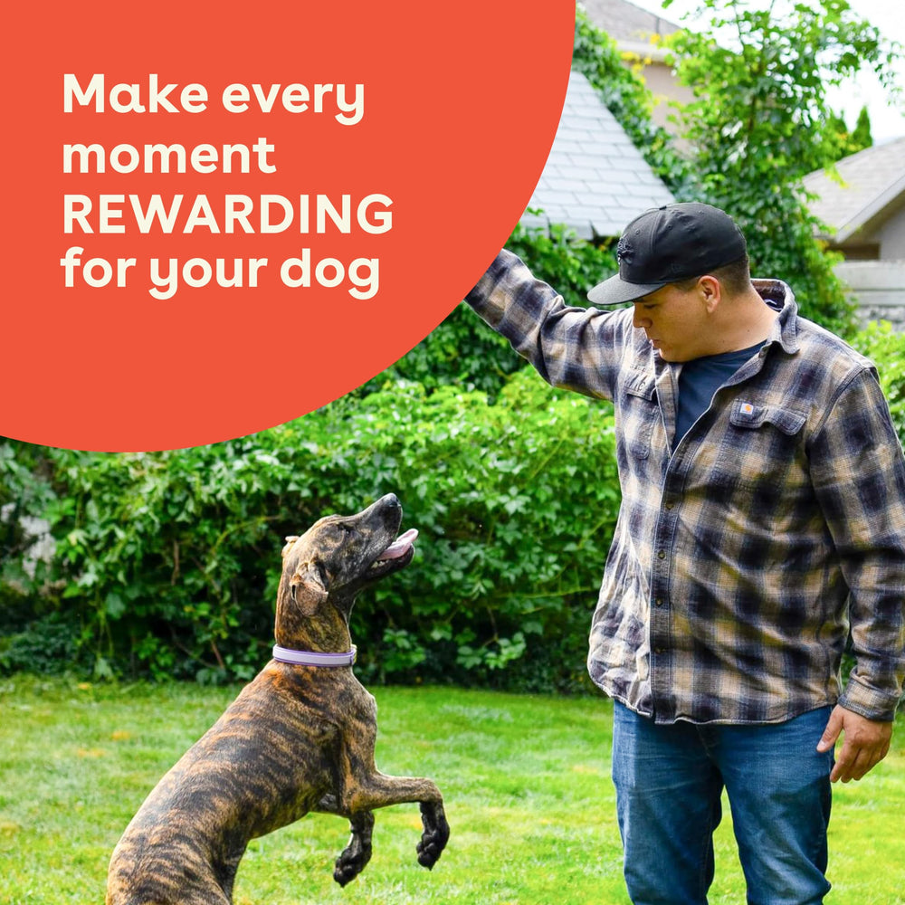 Pupford Crunchies used as a rewarding training treat for good behavior.