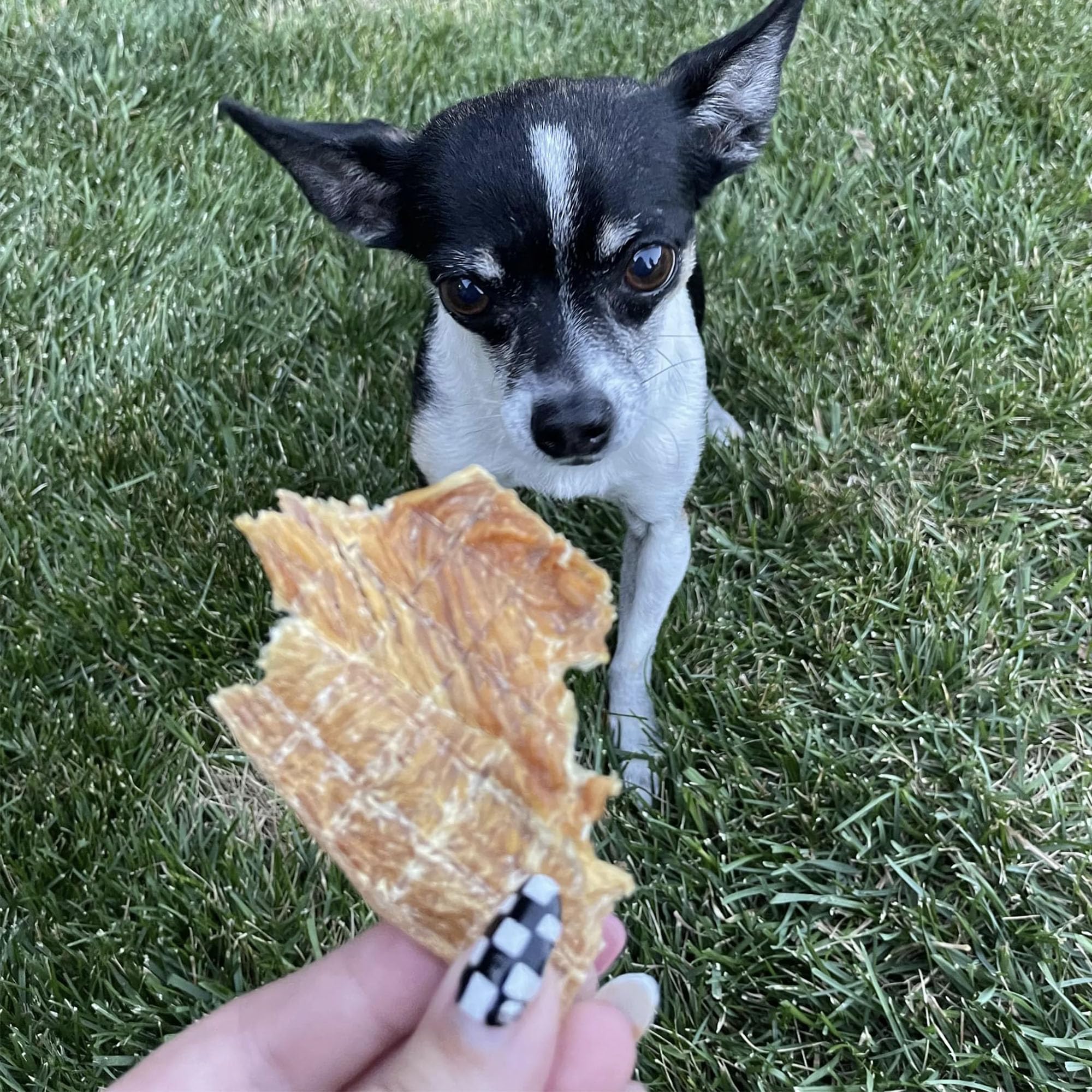 Pupford Crunchy Jerky US-made label – made in the USA with no fillers.