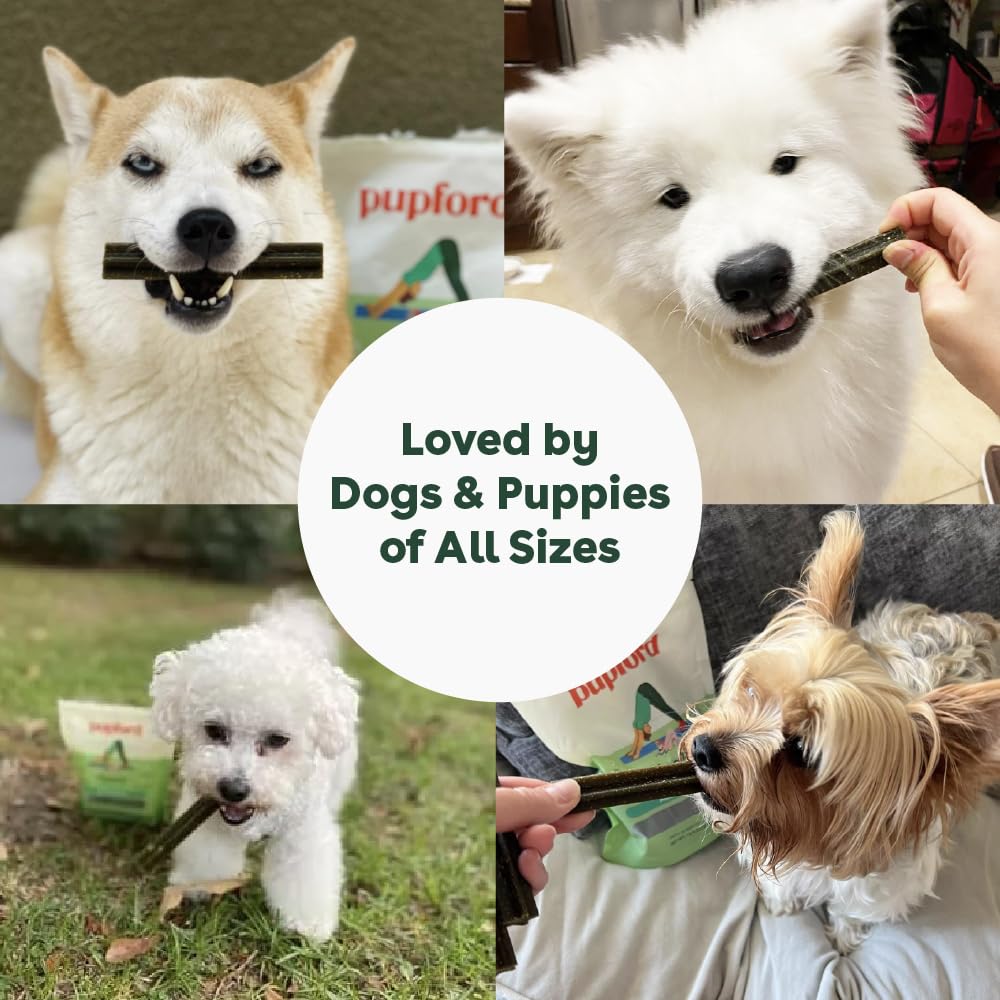 Pupford dental chews 4-inch sticks lined up ready for daily use