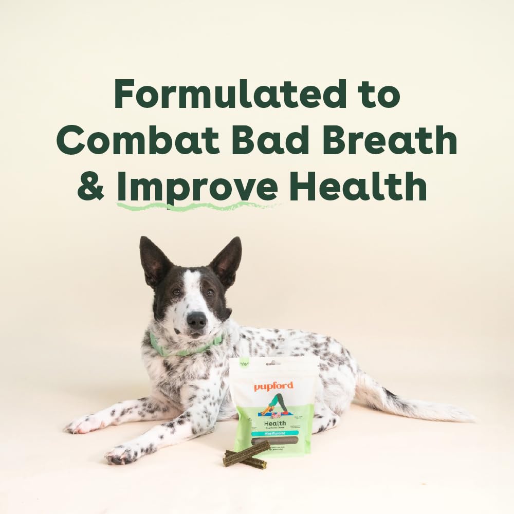 Pupford dental chews dog chewing scene highlights enjoyable texture and routine support