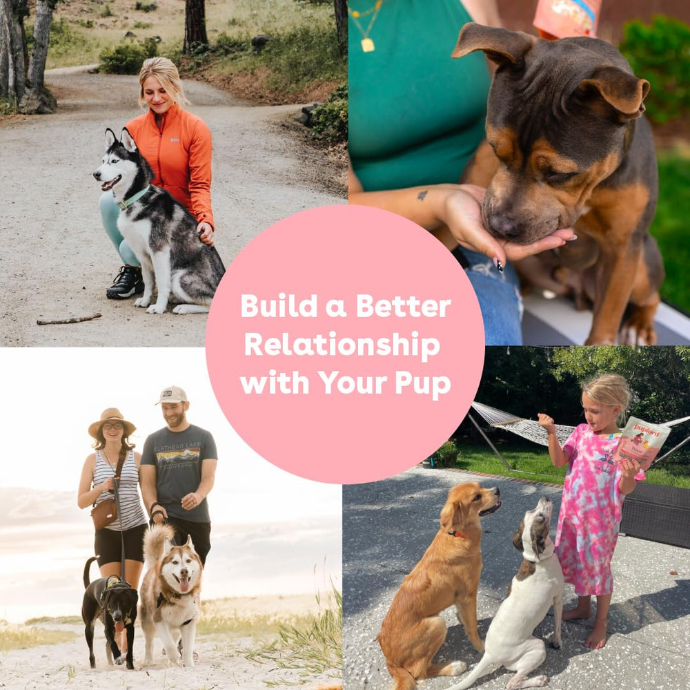 Pupford treats set up for dog or puppy training rewards