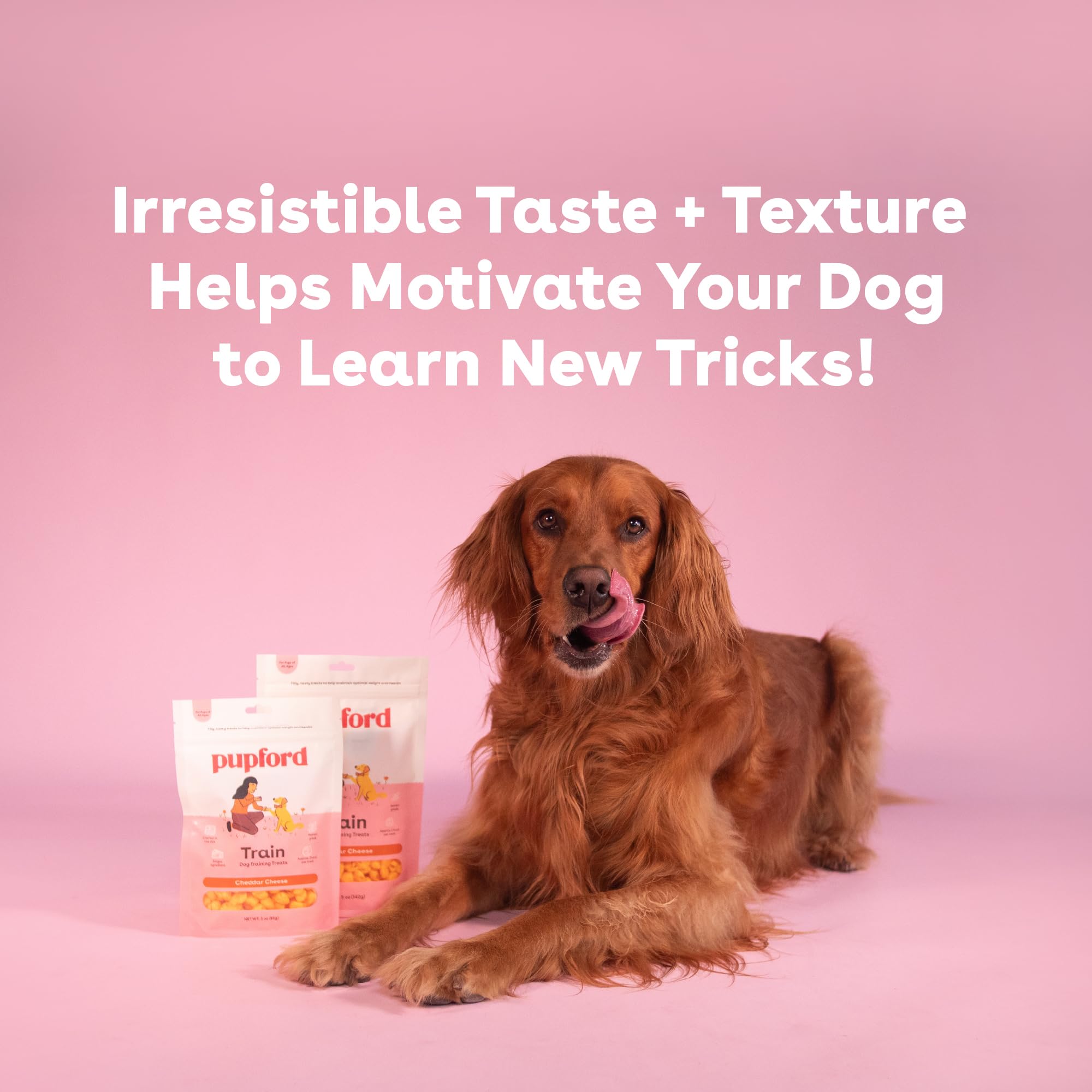 Pupford freeze-dried dog treats mess-free cheddar bite perfect for classes.