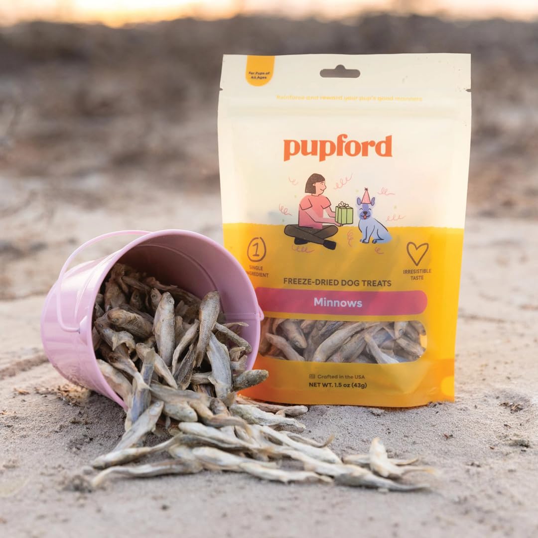 Pupford minnows close-up, single-ingredient treat with omega-3 benefits.