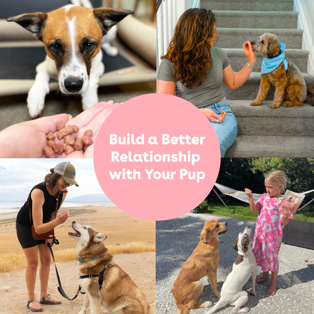 Pupford Freeze Dried Training Treats bag reseal close-up, keeps treats fresh between sessions