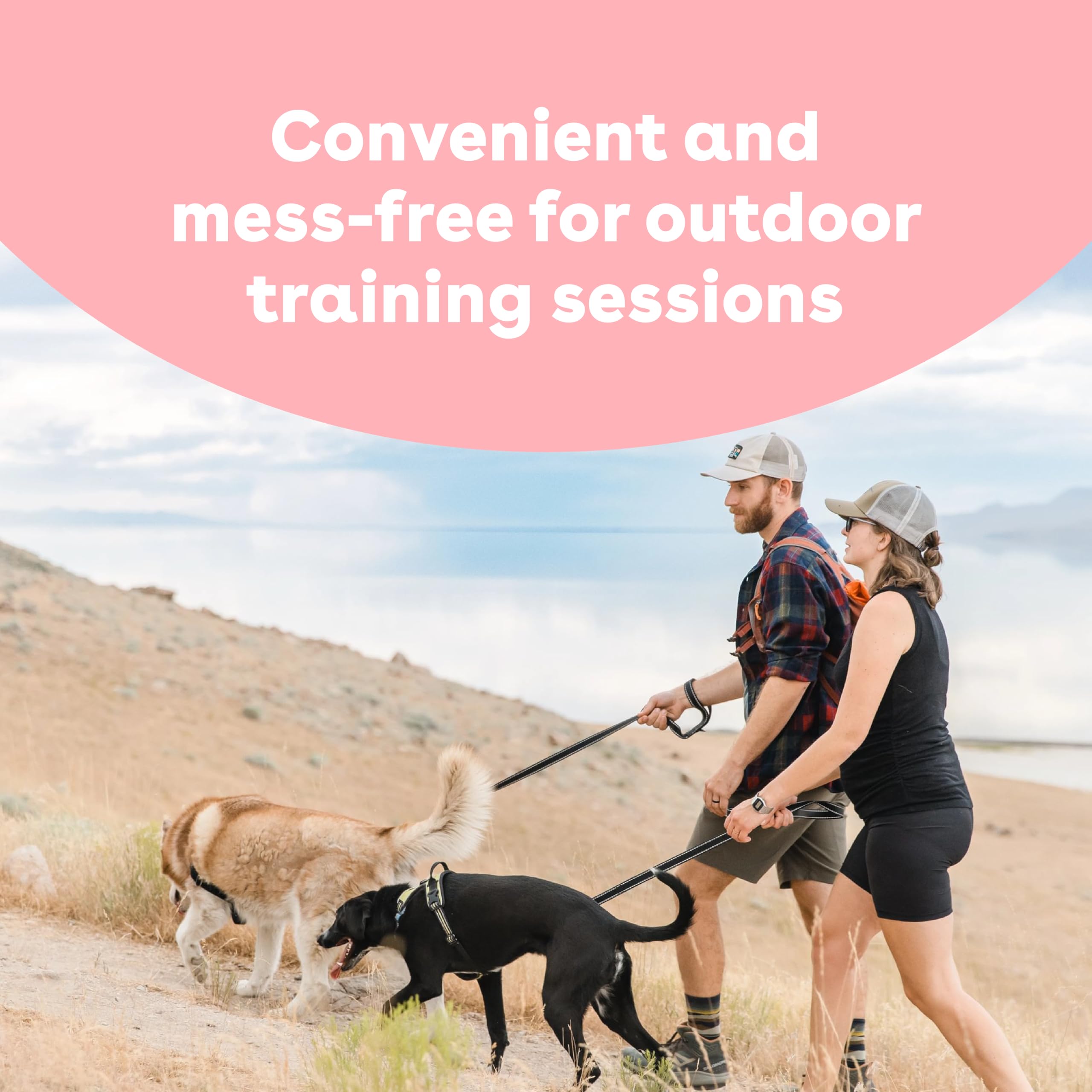 Pupford Freeze Dried Training Treats pocket-pack view, easy on-the-go training