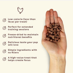 Pupford Freeze Dried Salmon 2oz image—savory training reward for outdoor sessions.