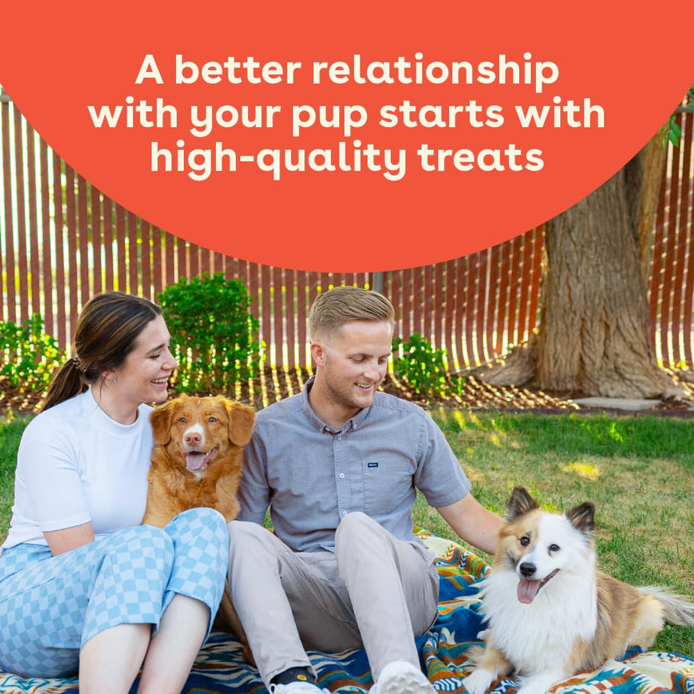 Pupford grain-free treat ideal for dogs with sensitivities.