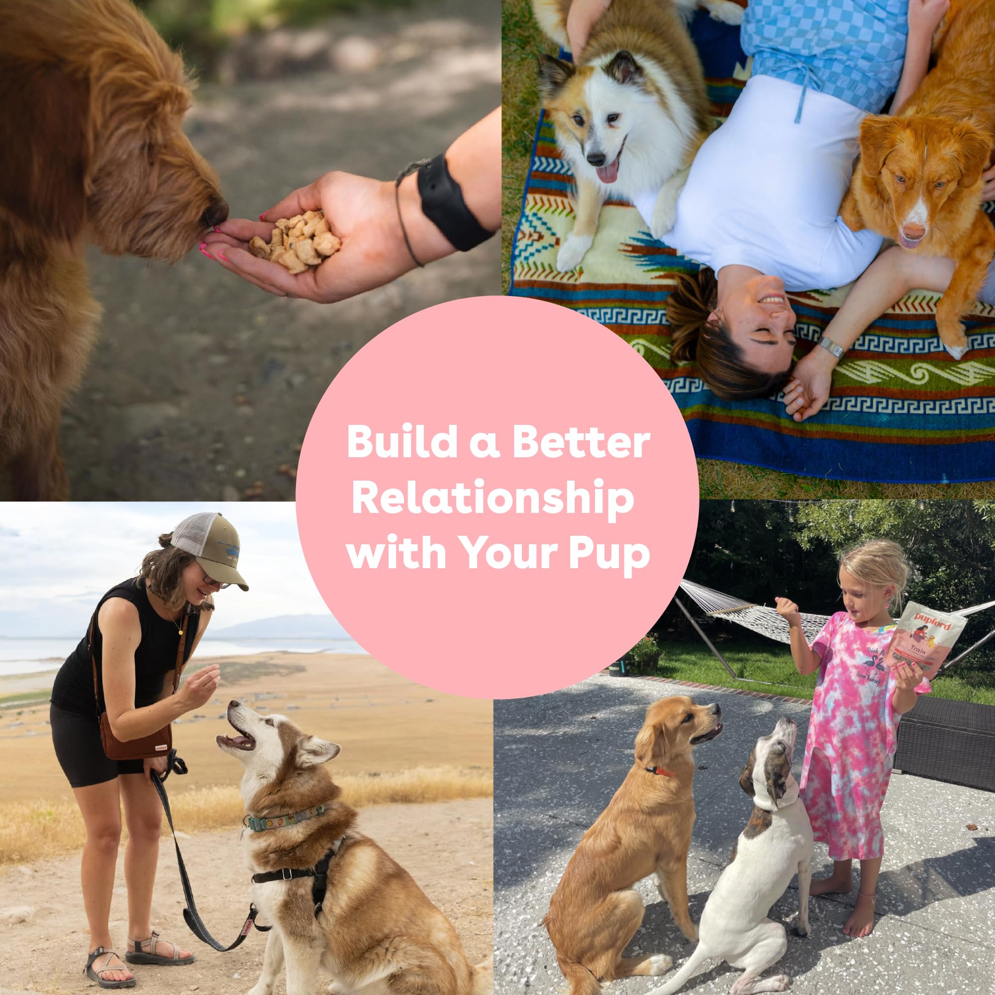 Pupford low-calorie training bites support frequent training prompts.