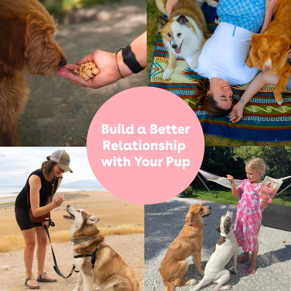 Pupford low-calorie training bites support frequent training prompts.