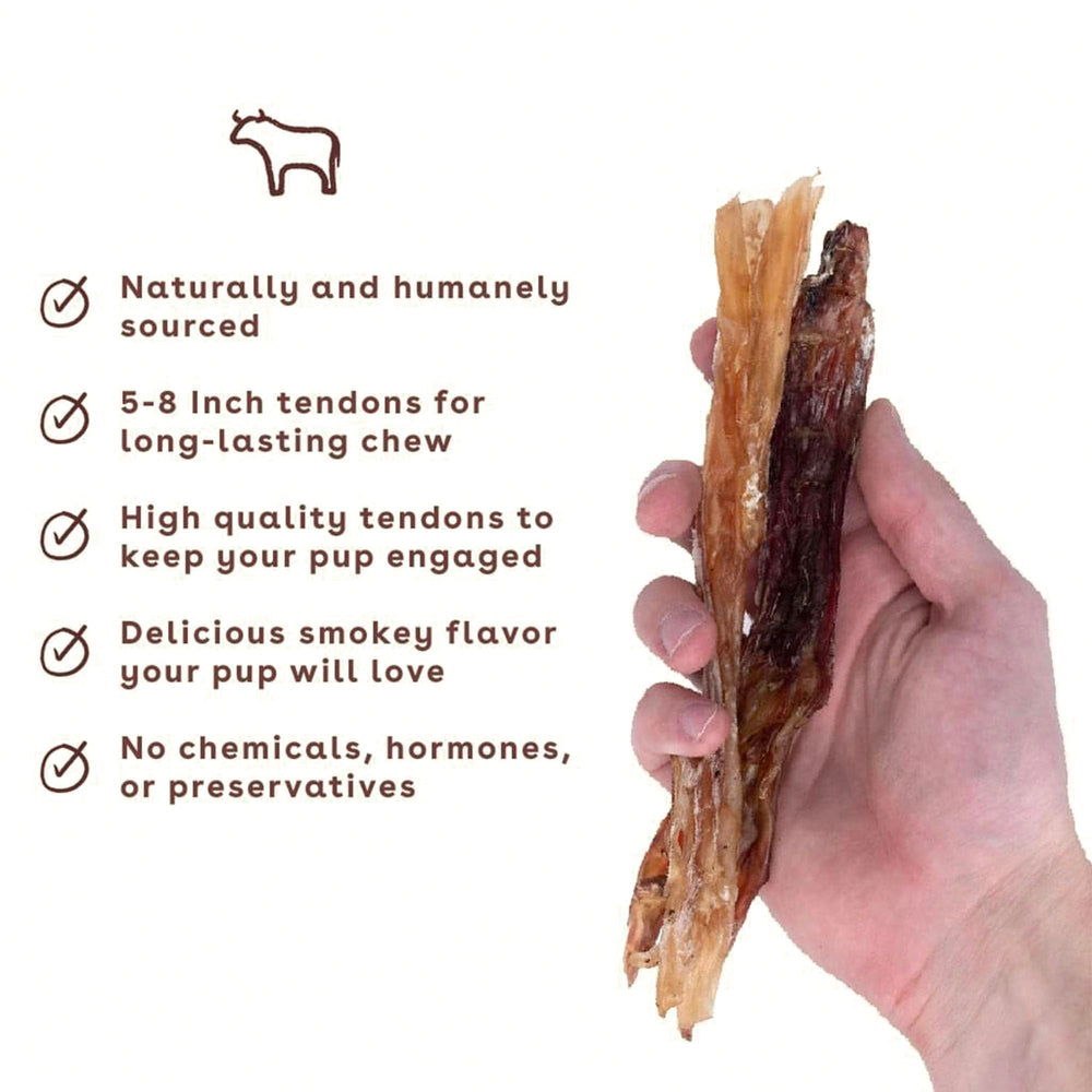 Pupford masticables tendones de res para perro, ideal para entrenamiento.