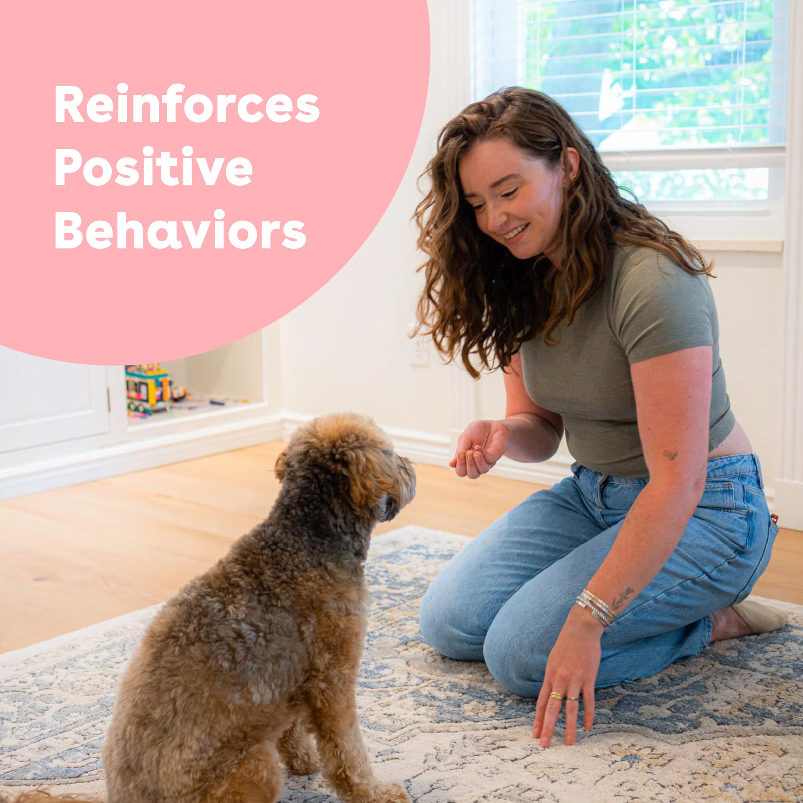 Pupford mess-free treats keep hands and pockets clean during walks and classes.