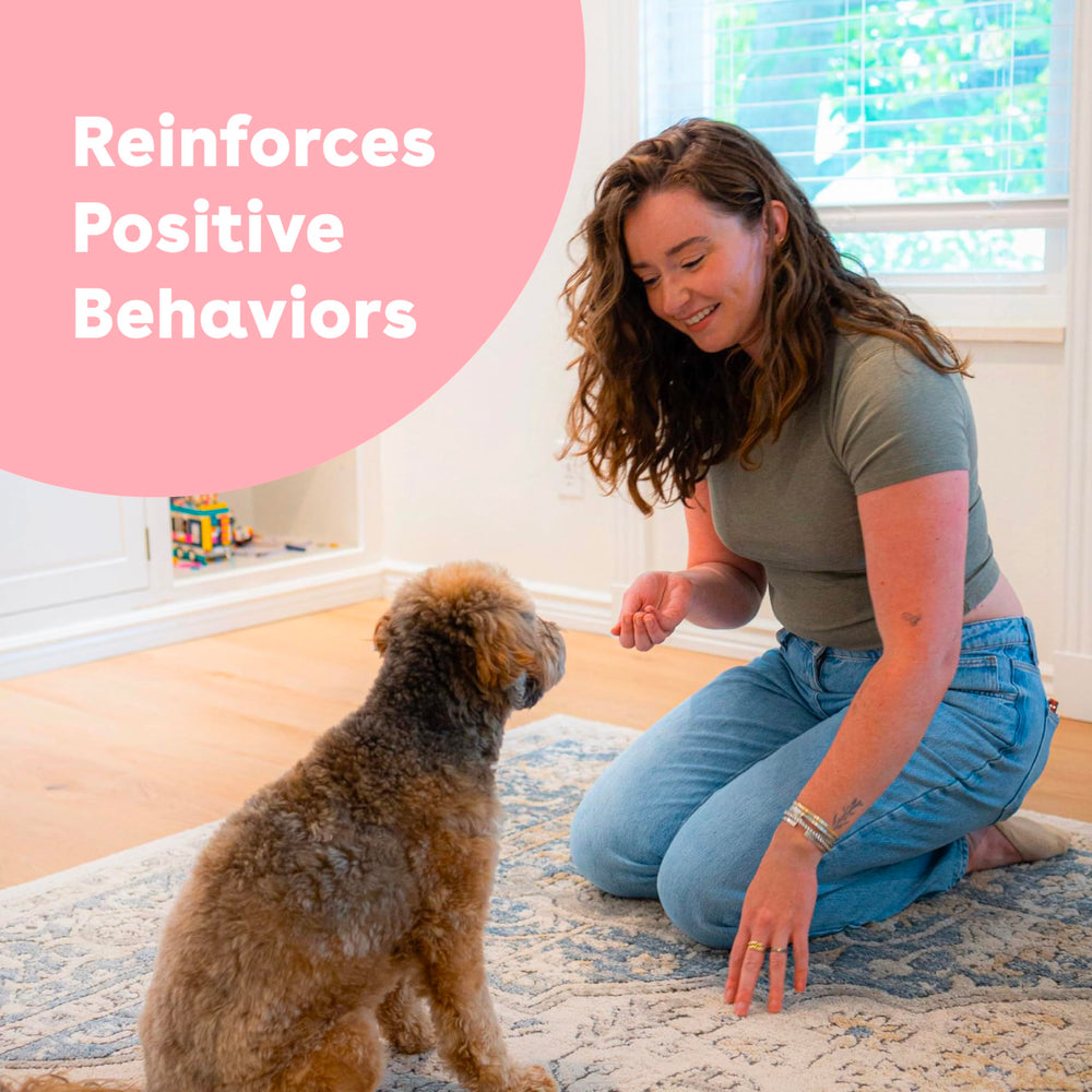 Pupford mess-free treats keep hands and pockets clean during walks and classes.