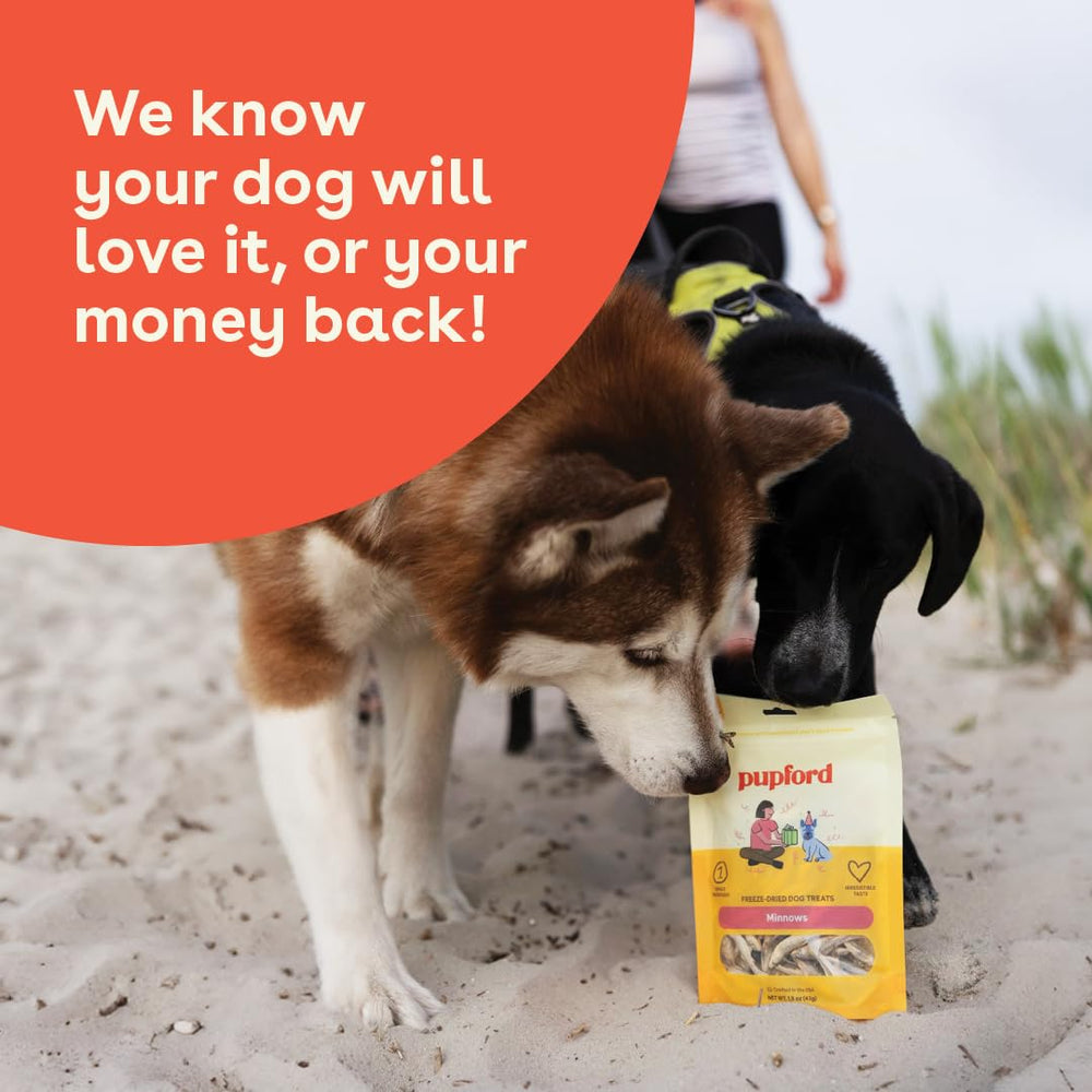 Pupford minnows ingredient label shot, grain-free, limited ingredients.