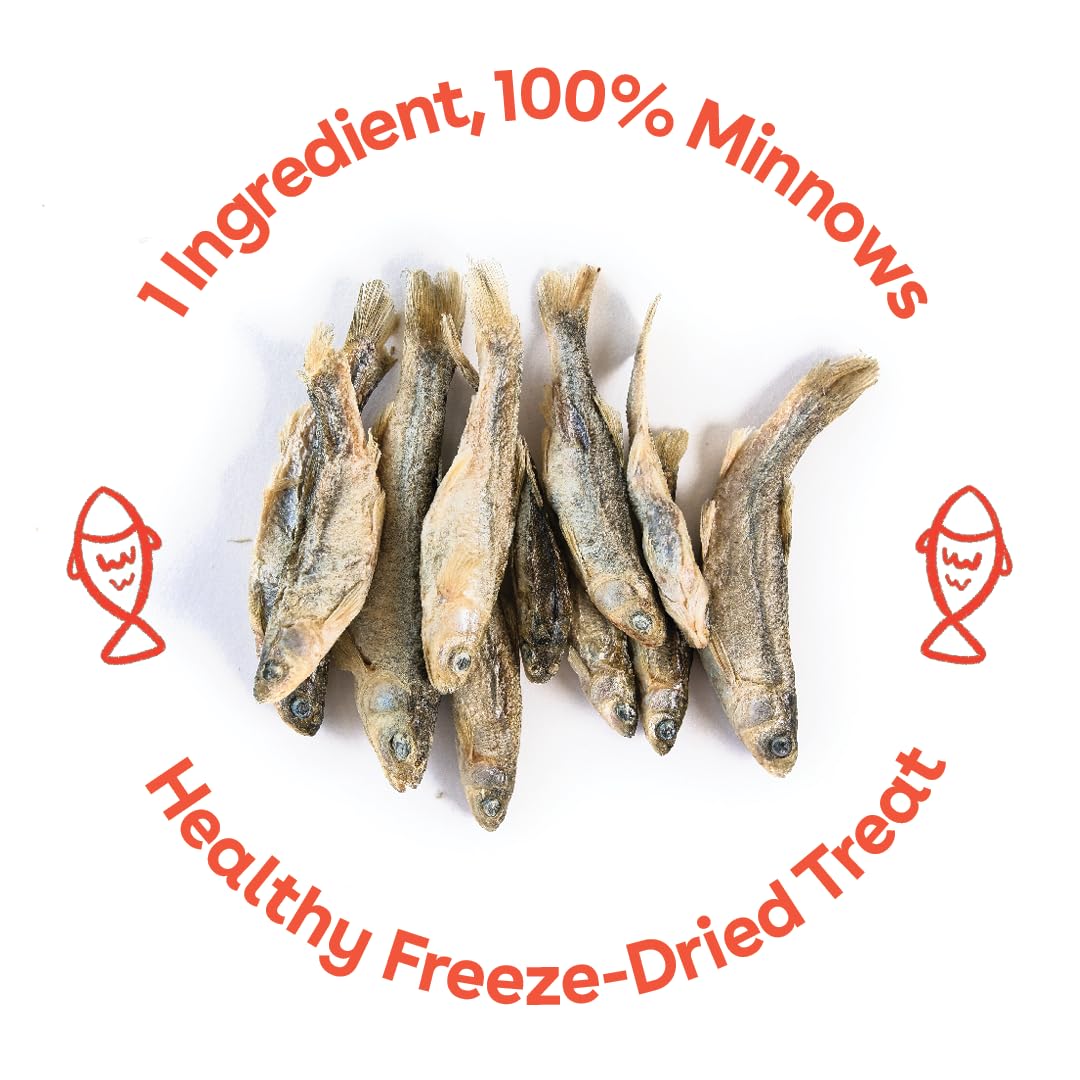 Pupford minnows no-mess image emphasizes freeze-dried, mess-free rewards during training.