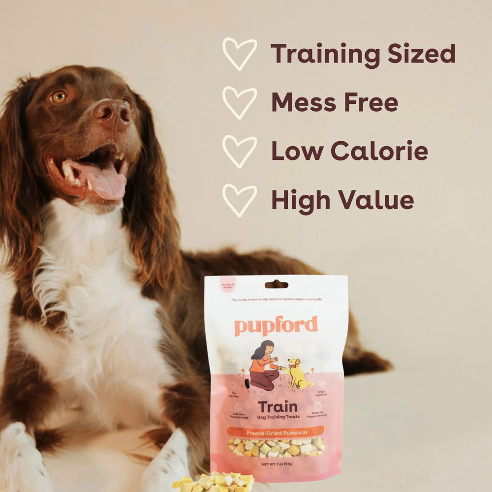 Pupford pumpkin treats in pocket-friendly 2oz pack for on-the-go training and reward moments.