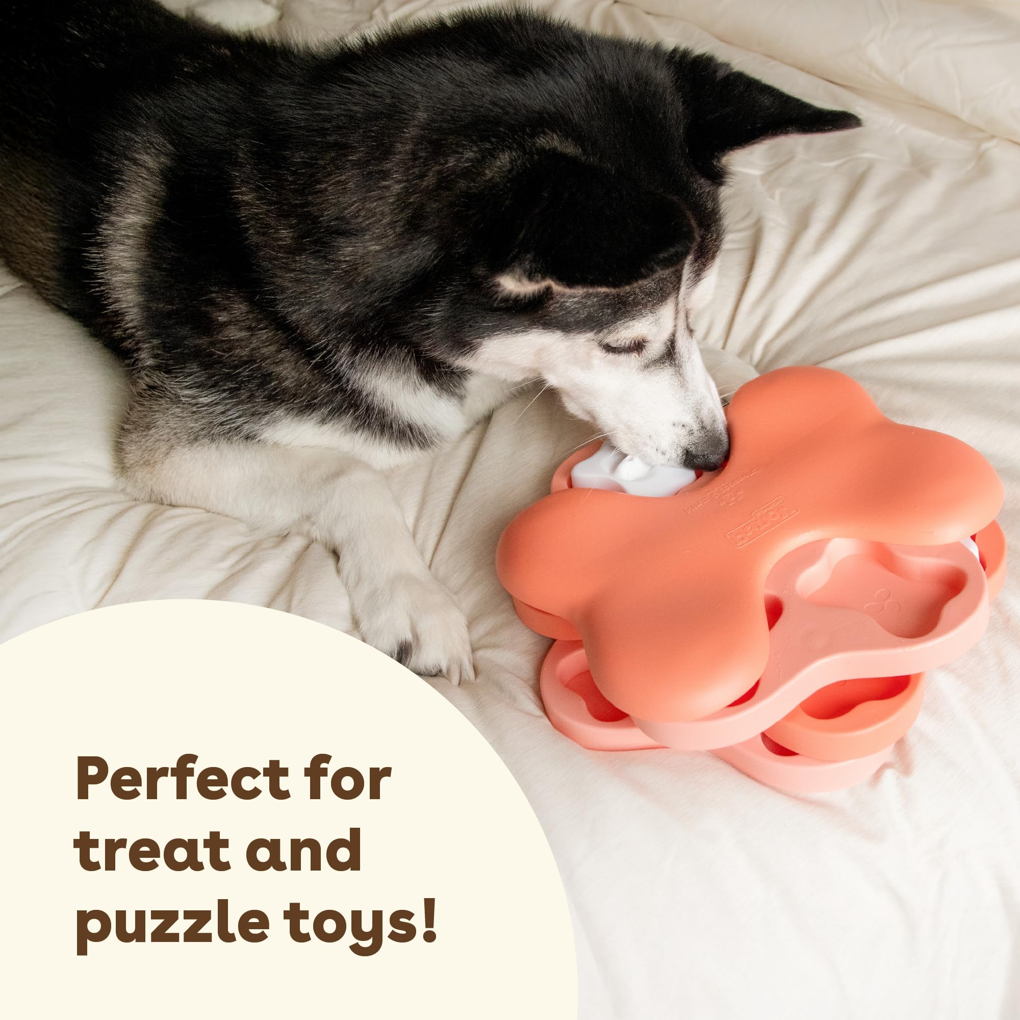 Pupford promise-backed snacks for dogs with simple ingredients and reliable rewards.