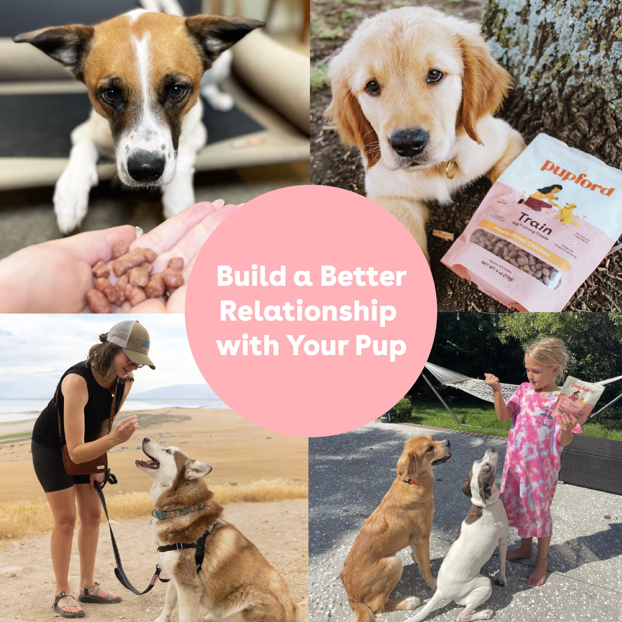 Pupford puppy training in class—colorful bites encourage consistent practice