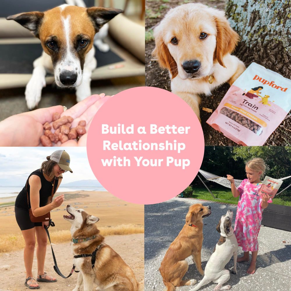 Pupford puppy training in class—colorful bites encourage consistent practice