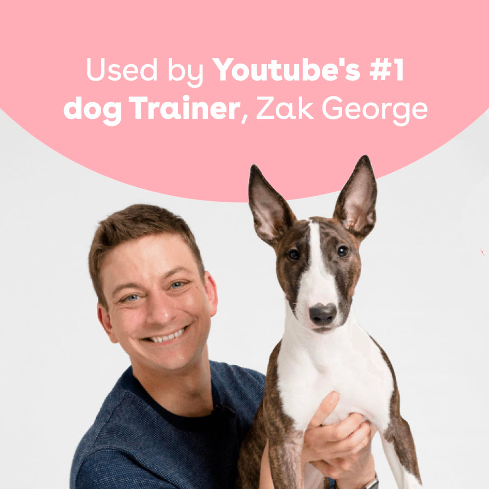 Pupford salmon ingredients highlight simple all-natural two-ingredient formula.